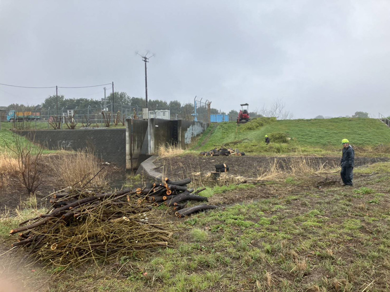 埼玉県上尾市 調整池伐採工事 作業中