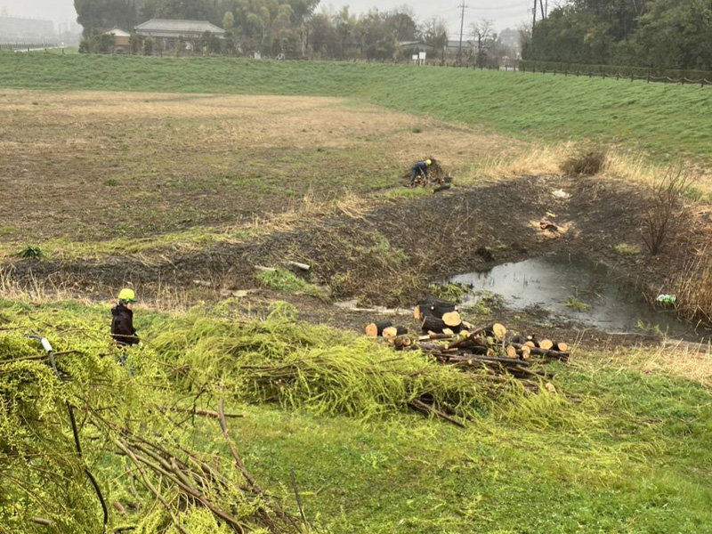 埼玉県上尾市 調整池伐採工事 作業中