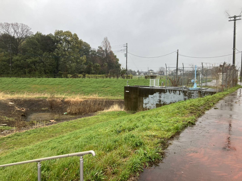 埼玉県上尾市 調整池伐採工事 完了