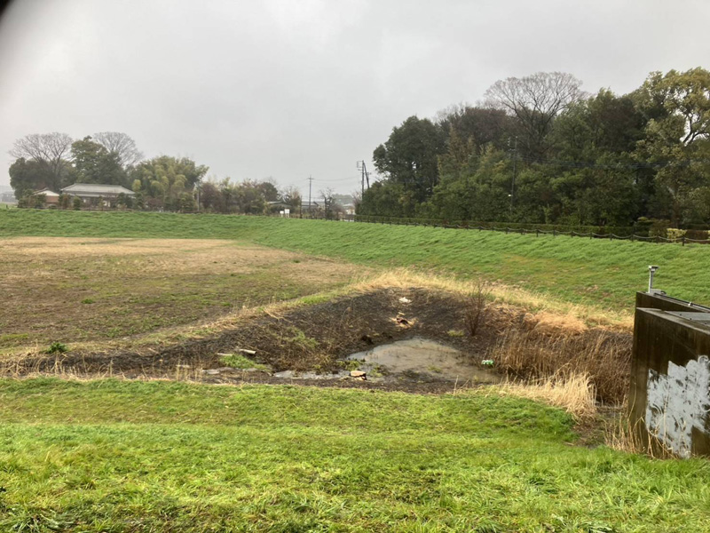 埼玉県上尾市 調整池伐採工事 完了