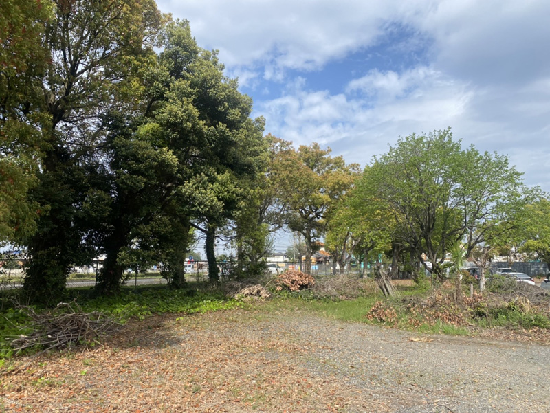 埼玉県加須市工場内 伐採工事 着工前