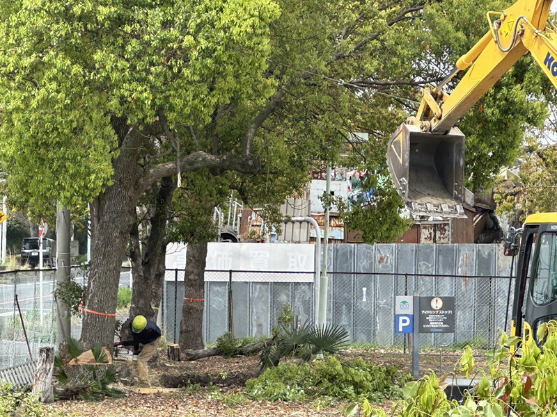 埼玉県加須市工場内 伐採工事 施工中
