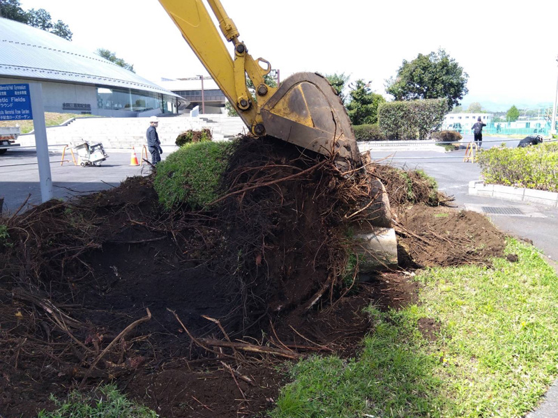 埼玉県 学校敷地内 除根工事 作業中