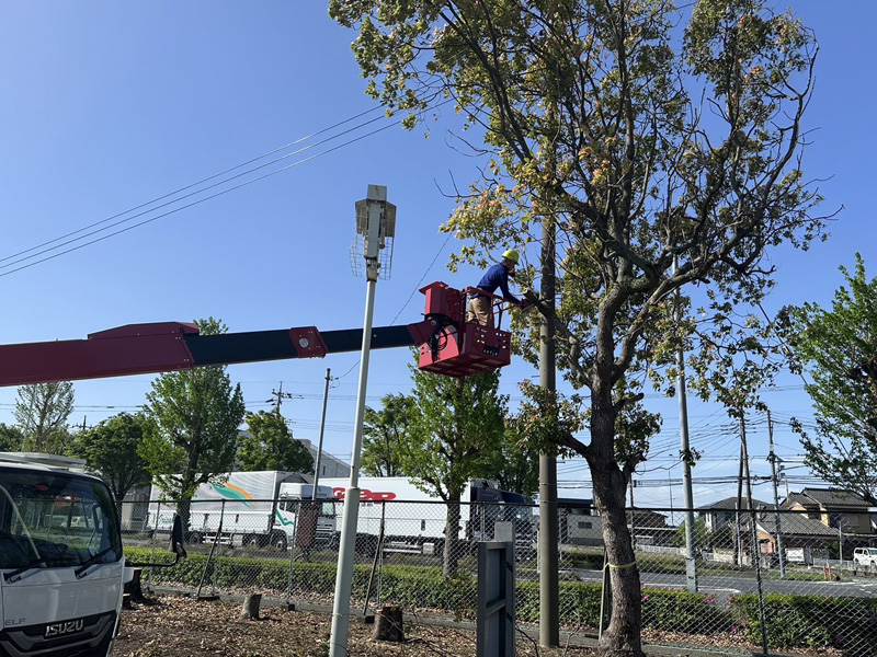 埼玉県加須市工場内 伐採工事 施工中