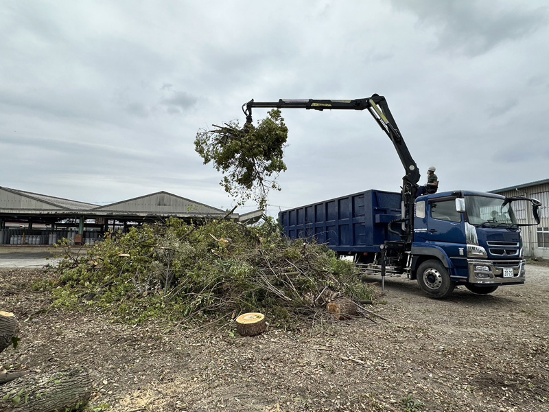 埼玉県加須市工場内 伐採工事 施工中
