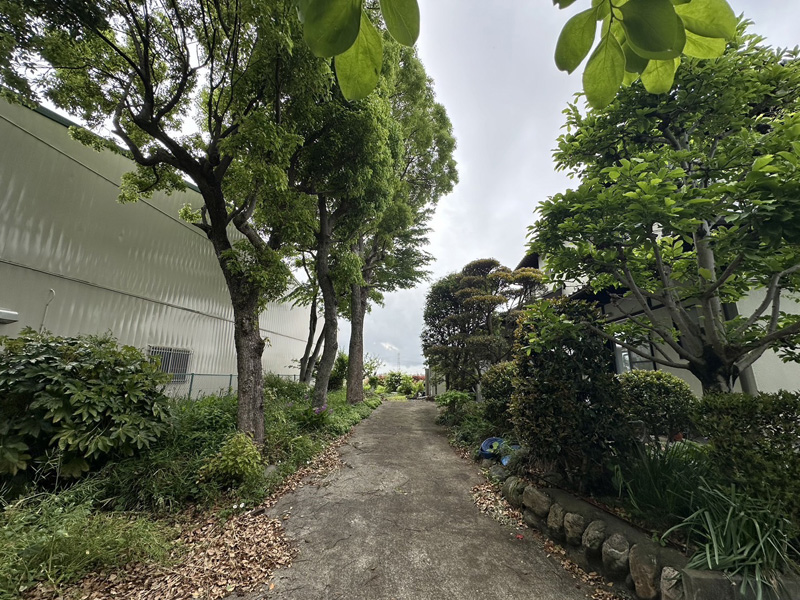 埼玉県比企郡吉見町 個人様宅 伐採工事 着工前