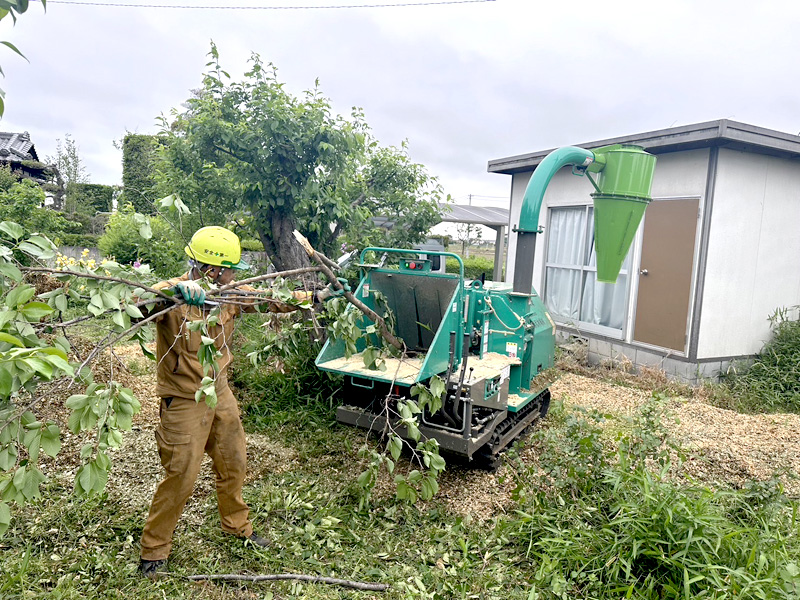 埼玉県比企郡吉見町 個人様宅 伐採工事 施工中
