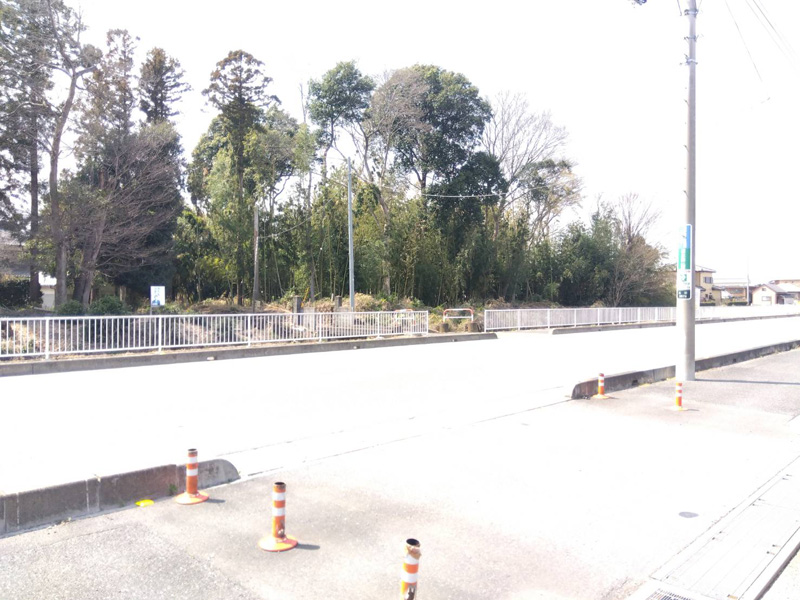 埼玉県鴻巣市 竹林伐採除根工事 着工前