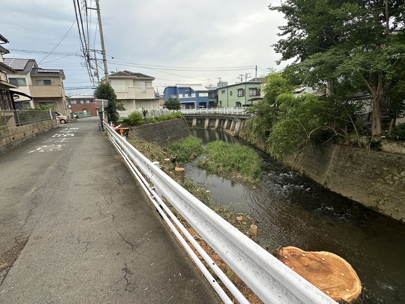 埼玉県内 伐採工事 完了