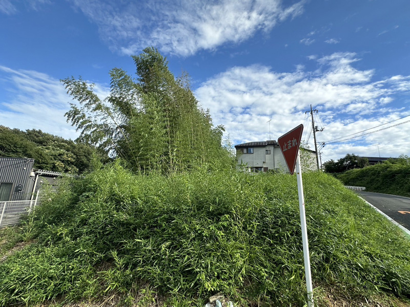 埼玉県個人宅 竹林伐採工事 着工前