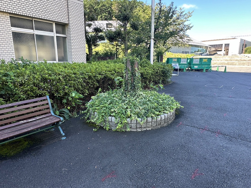 埼玉県内大学 除根工事 着工前