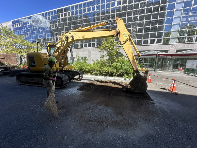 埼玉県内大学 除根工事 作業中