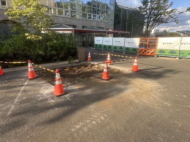 埼玉県内大学 除根工事 完了