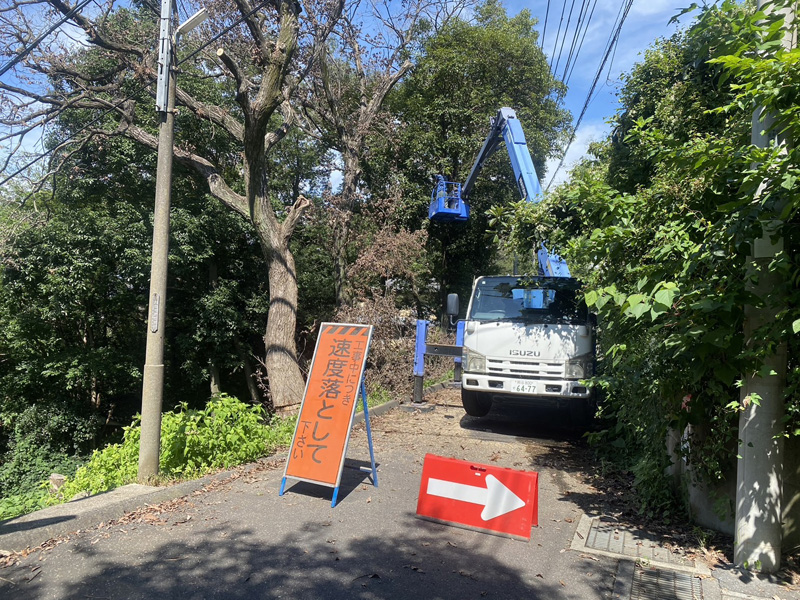 埼玉県比企郡吉見町 剪定工事 作業中