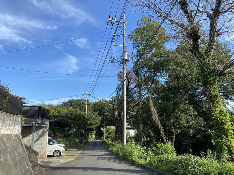 埼玉県比企郡吉見町 剪定工事 完了