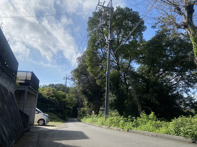埼玉県比企郡吉見町 剪定工事 着工前