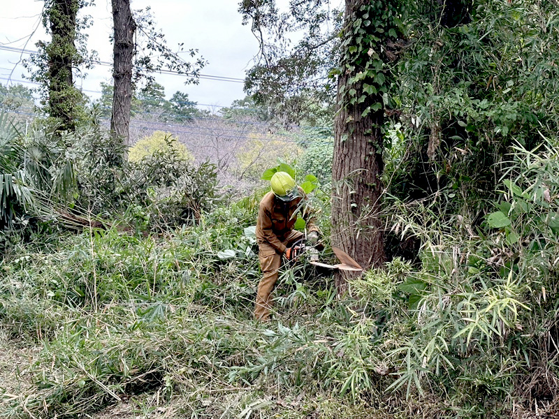 埼玉県比企郡吉見町個人宅 樹木伐採 施工中