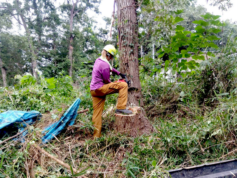埼玉県比企郡吉見町個人宅 樹木伐採 施工中