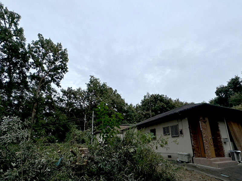 埼玉県比企郡吉見町個人宅 樹木伐採 完了