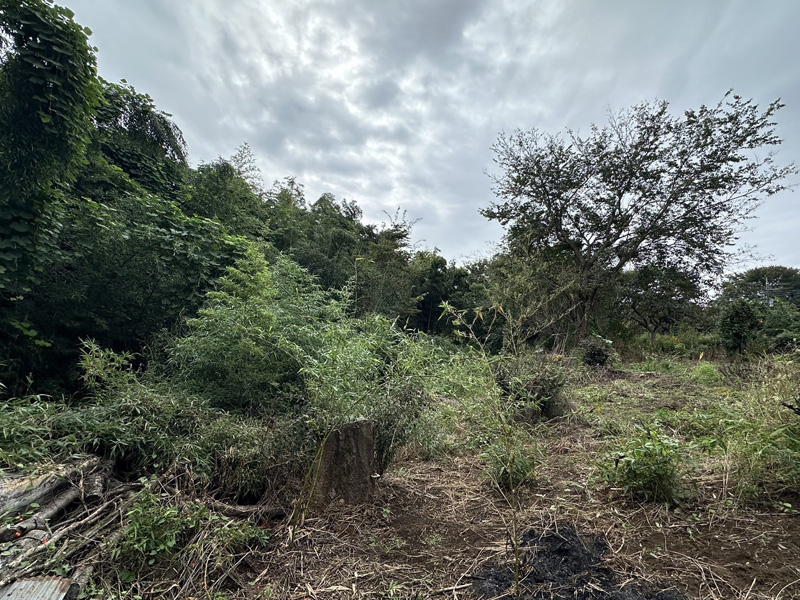 埼玉県上尾市 個人宅 伐採・竹根除根・溝掘工事 着工前