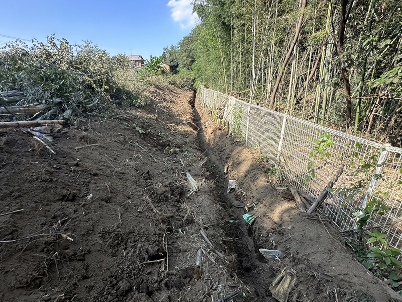 埼玉県上尾市 個人宅 伐採・竹根除根・溝掘工事 完了
