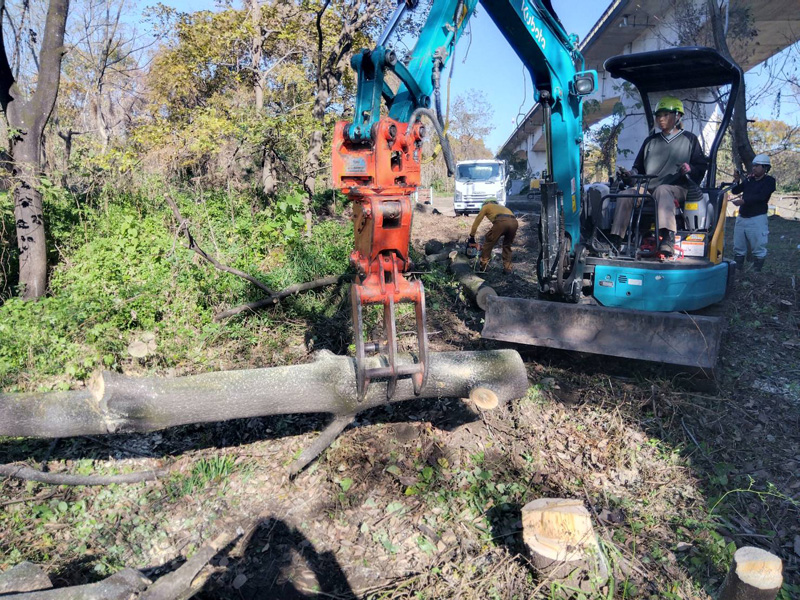 埼玉県北部 伐採工事 施工中