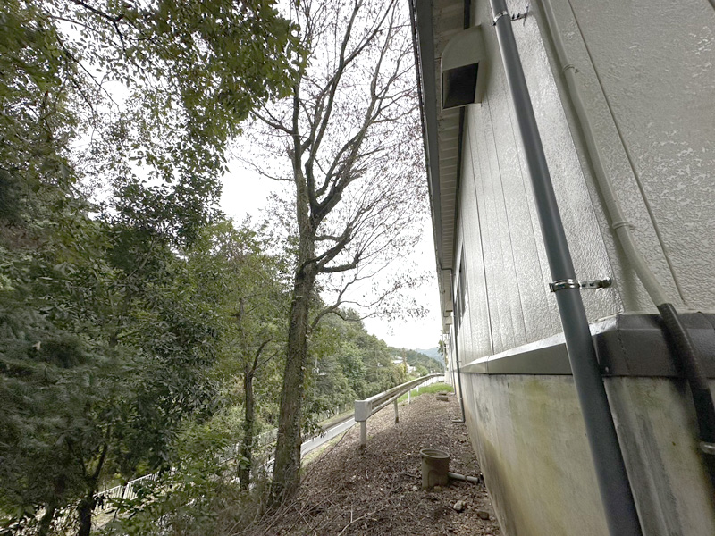 埼玉県内ゴルフクラブ 枯木伐採工事 着工前