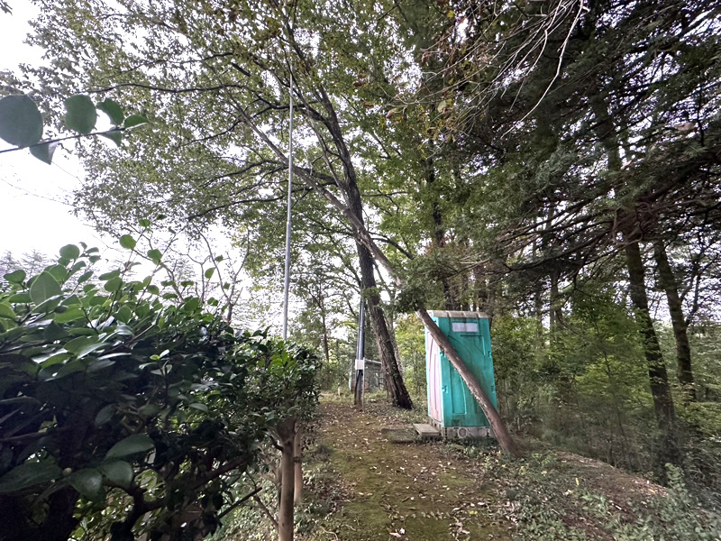 埼玉県内ゴルフクラブ 枯木伐採工事 着工前