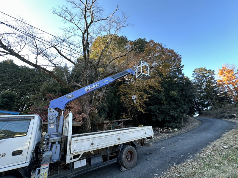埼玉県内ゴルフクラブ 枯木伐採工事 作業中