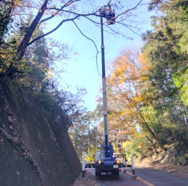 埼玉県内ゴルフクラブ 枯木伐採工事 作業中