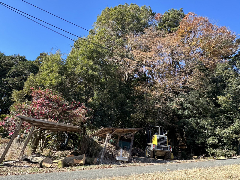 埼玉県内ゴルフクラブ 枯木伐採工事 完了