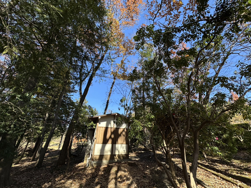 埼玉県内ゴルフクラブ 枯木伐採工事 完了