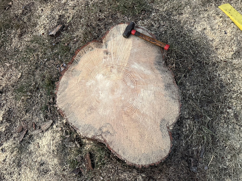 埼玉県内ゴルフクラブ 枯木伐採工事 完了