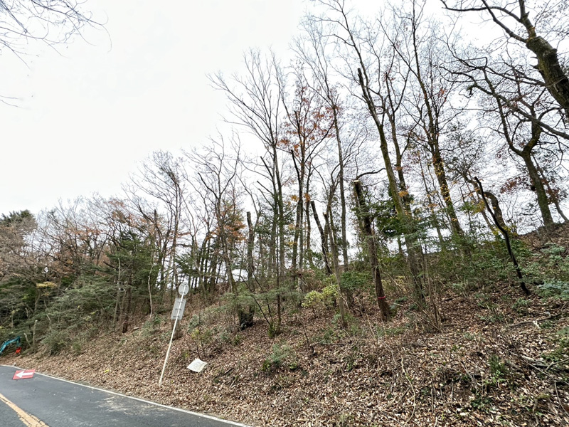 埼玉県内ゴルフクラブ 枯木伐採工事 完了