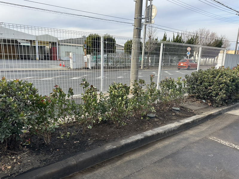 埼玉県加須市 植栽工事 完了
