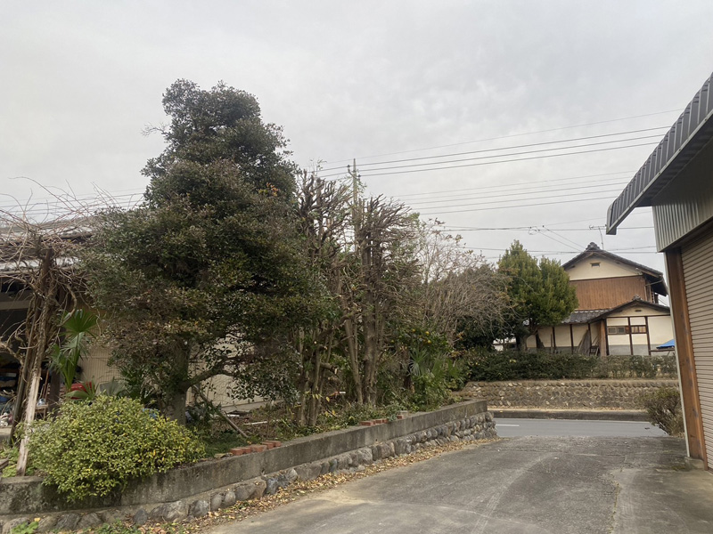埼玉県比企郡吉見町 個人宅様伐採工事 完了