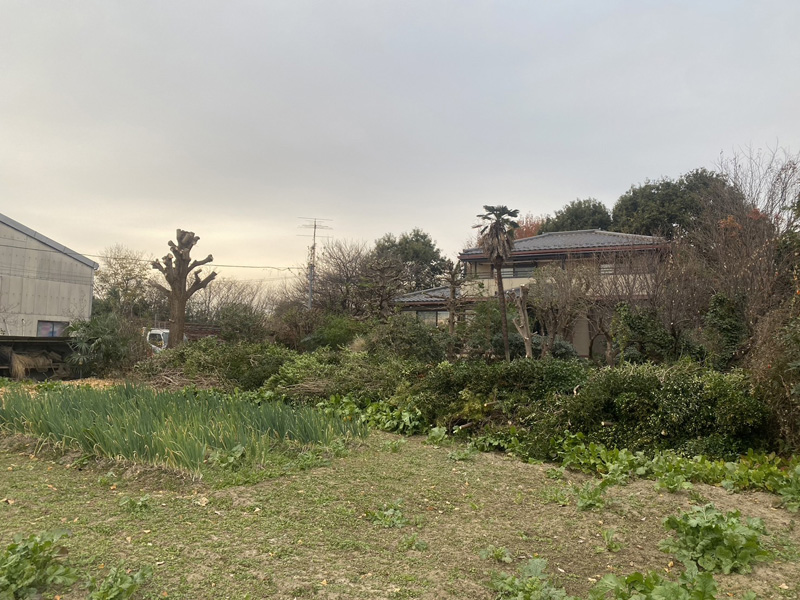 埼玉県比企郡吉見町 個人宅様伐採工事 完了