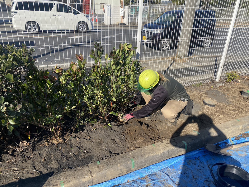 埼玉県加須市 植栽工事 作業中