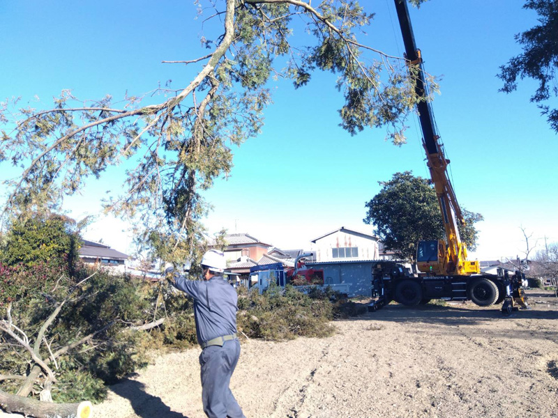 埼玉県深谷市個人様宅 伐採工事 作業中