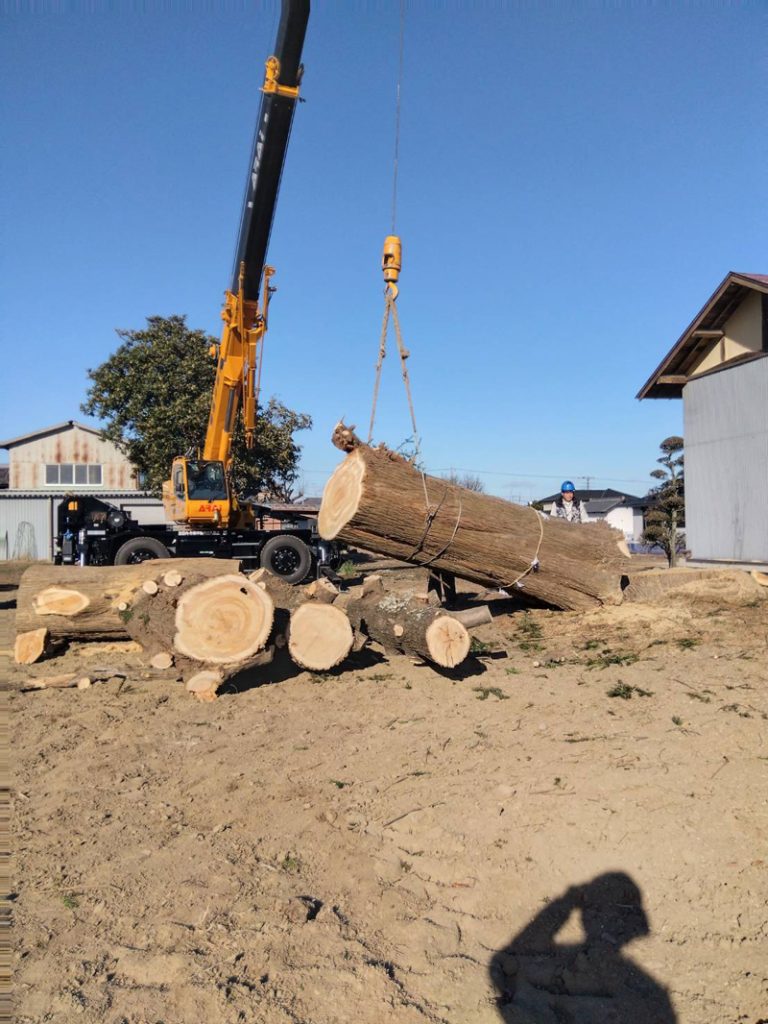 埼玉県深谷市個人様宅 伐採工事 作業中