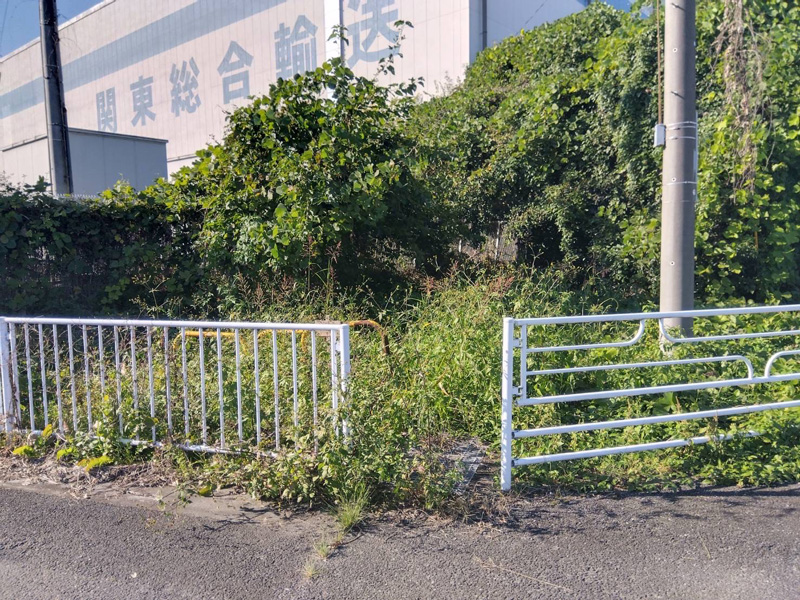 埼玉県行田市 伐採工事 着工前