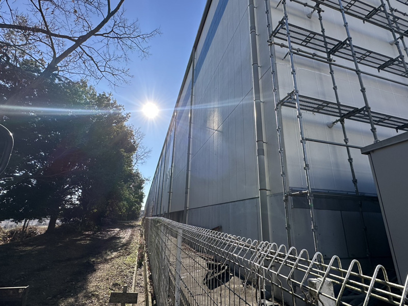 埼玉県行田市 伐採工事 完了