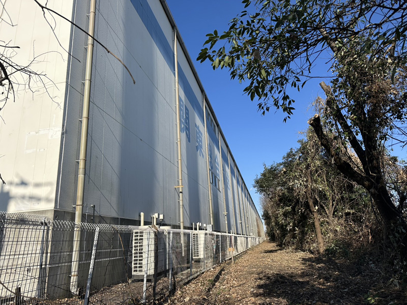 埼玉県行田市 伐採工事 完了