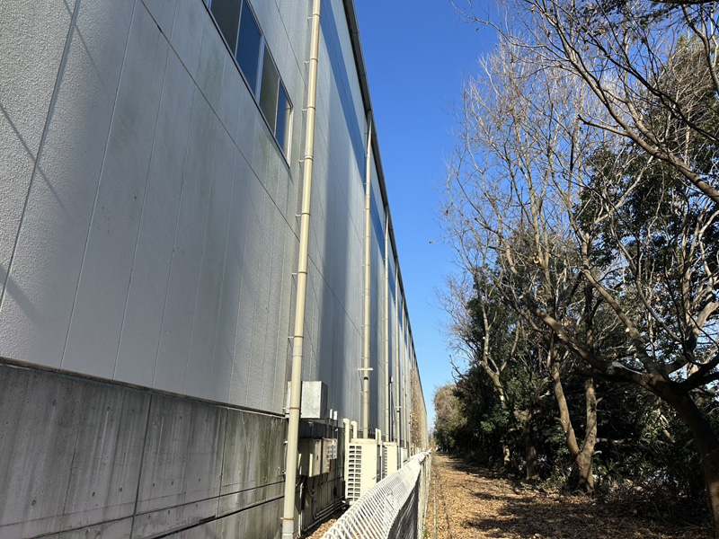 埼玉県行田市 伐採工事 完了