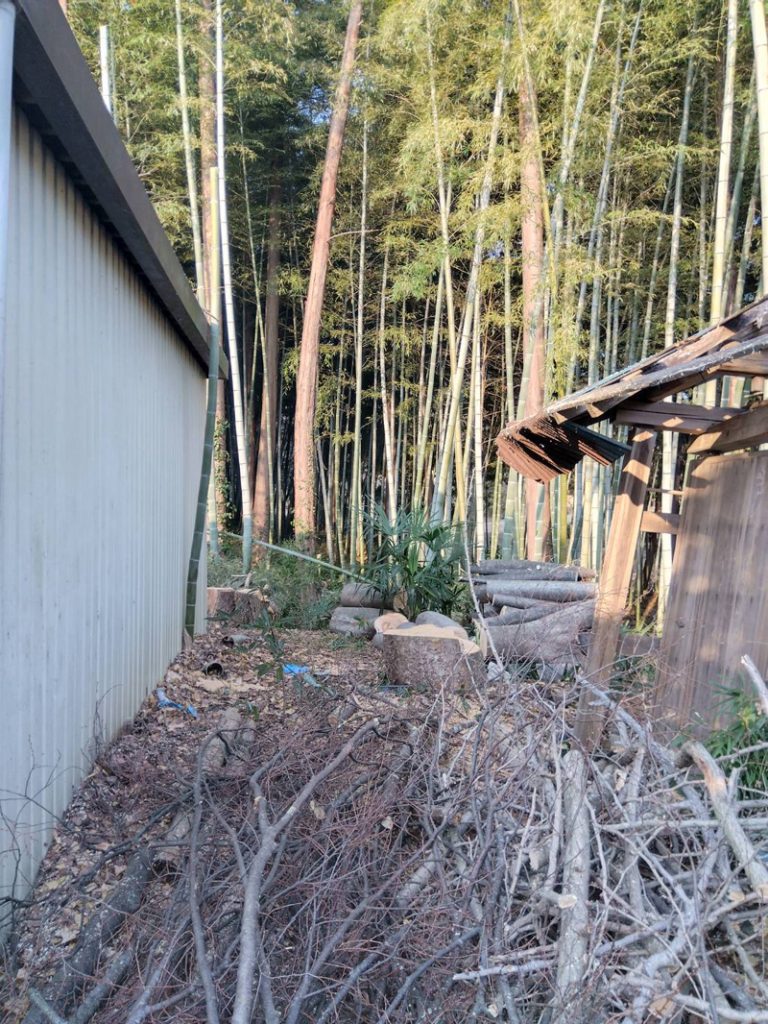 埼玉県東松山市 個人宅 伐採工事 完了