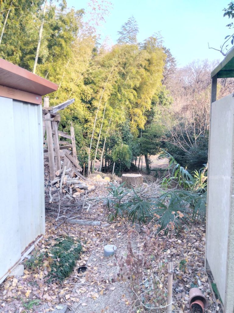 埼玉県東松山市 個人宅 伐採工事 完了