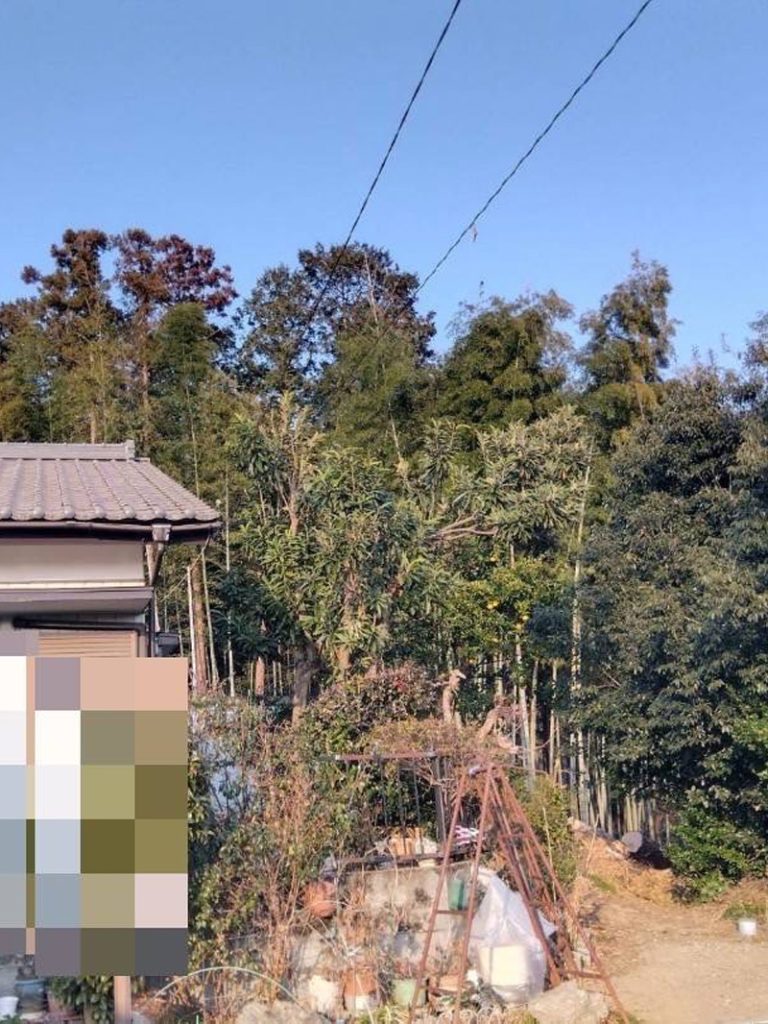 埼玉県東松山市 個人宅 伐採工事 完了
