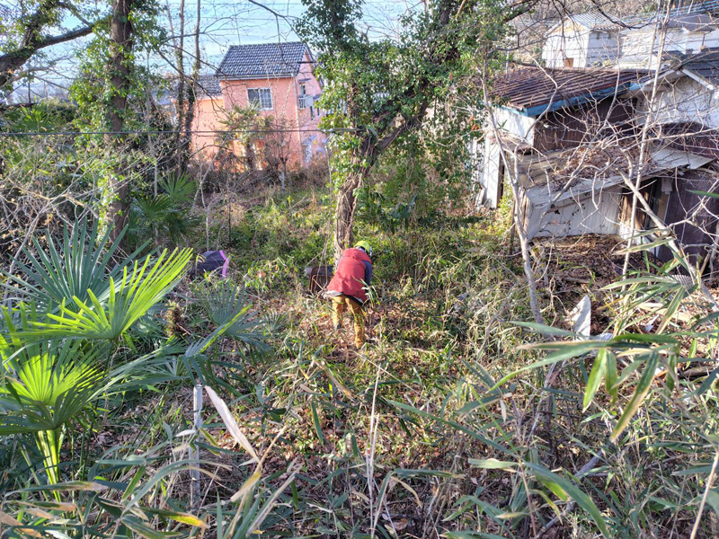 埼玉県比企郡 危険木 伐採工事 作業中