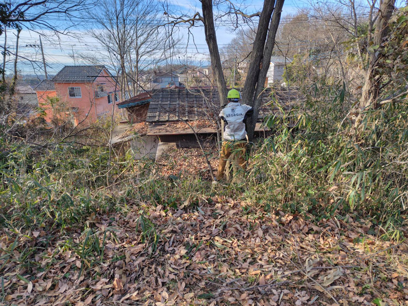 埼玉県比企郡 危険木 伐採工事 作業中