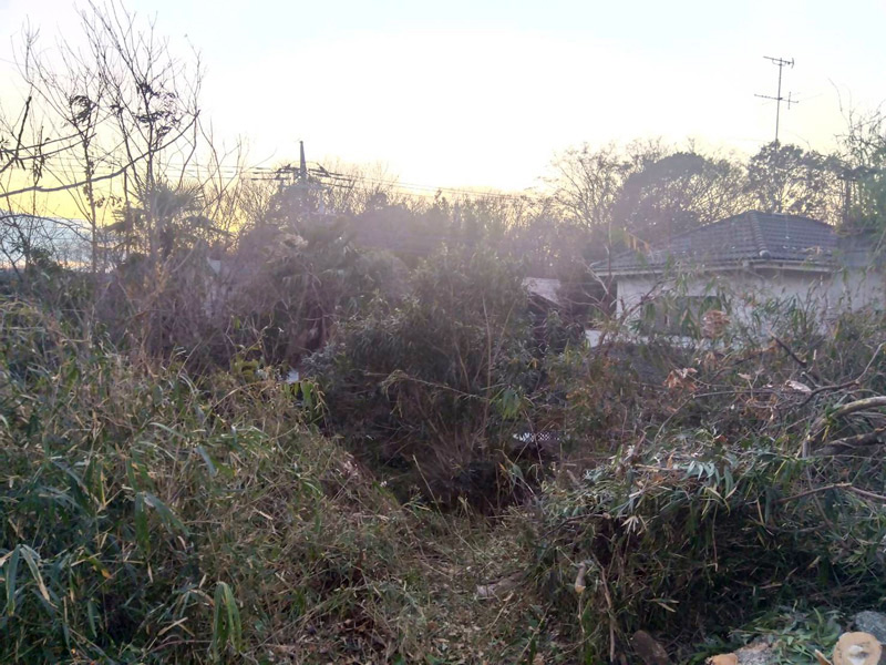 埼玉県比企郡 危険木 伐採工事 完了